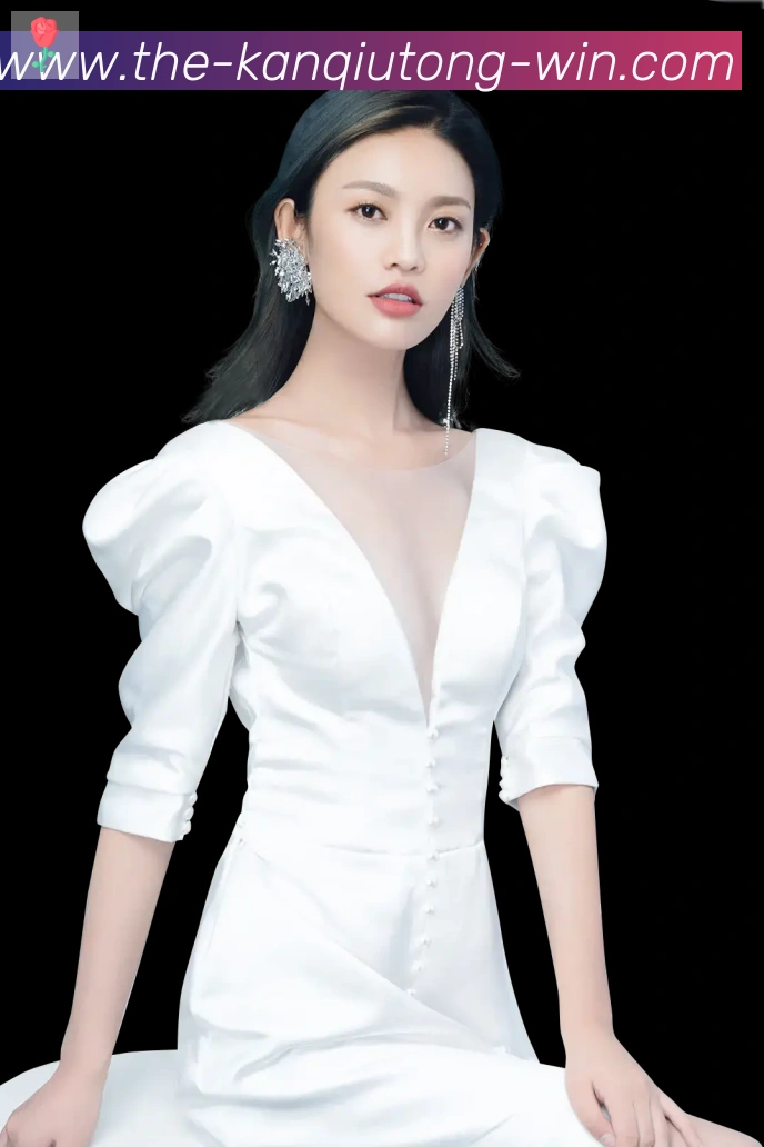 奖项证书