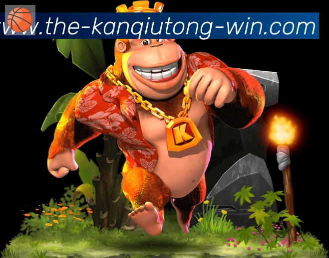 奖项证书